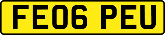 FE06PEU