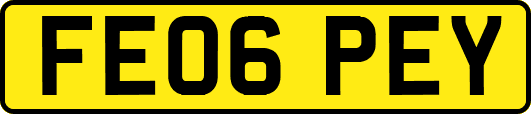 FE06PEY