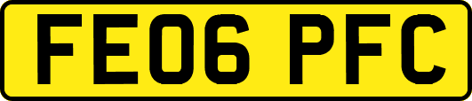 FE06PFC