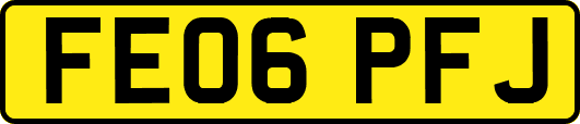 FE06PFJ