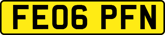FE06PFN