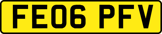 FE06PFV