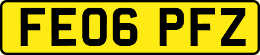 FE06PFZ