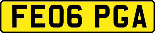 FE06PGA