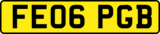 FE06PGB