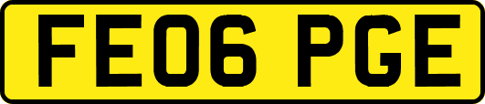 FE06PGE