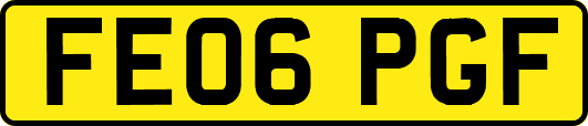 FE06PGF