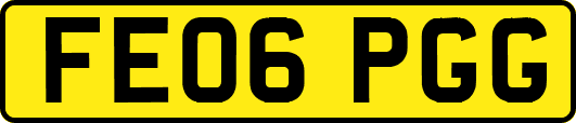 FE06PGG