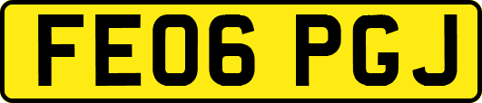 FE06PGJ