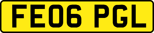FE06PGL