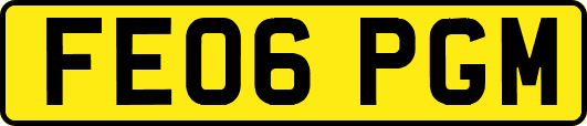 FE06PGM