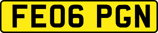 FE06PGN