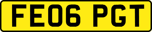 FE06PGT