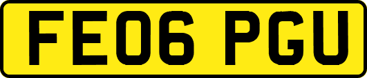 FE06PGU