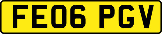 FE06PGV