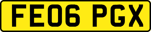 FE06PGX