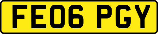 FE06PGY