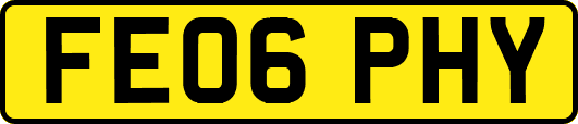 FE06PHY
