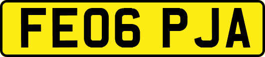 FE06PJA
