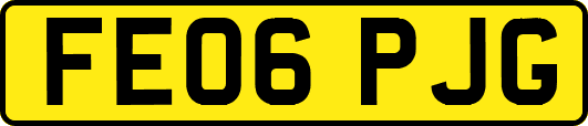 FE06PJG