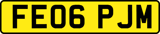 FE06PJM