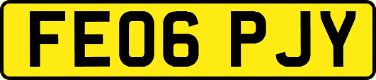 FE06PJY