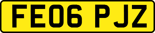 FE06PJZ