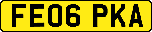 FE06PKA