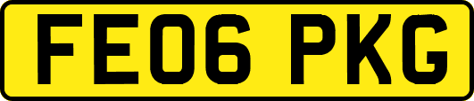 FE06PKG