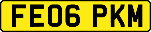 FE06PKM