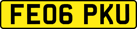 FE06PKU