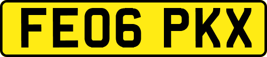 FE06PKX