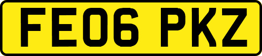 FE06PKZ