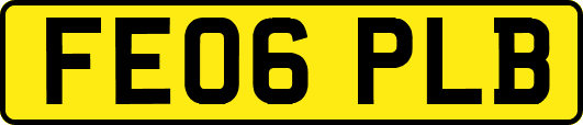 FE06PLB