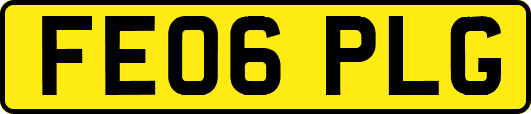FE06PLG