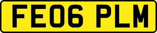 FE06PLM