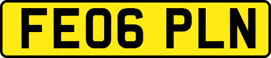 FE06PLN