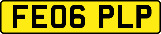 FE06PLP
