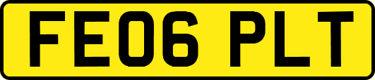 FE06PLT