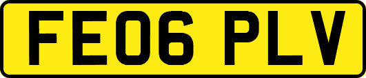 FE06PLV
