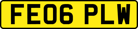 FE06PLW