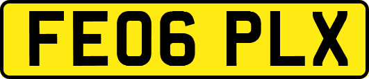 FE06PLX