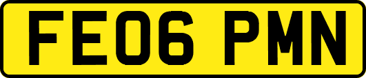 FE06PMN