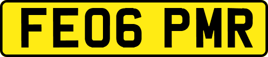 FE06PMR