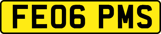 FE06PMS