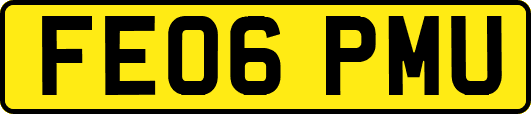 FE06PMU