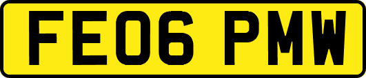 FE06PMW