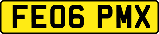 FE06PMX