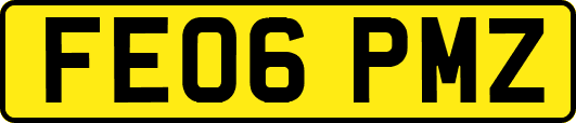 FE06PMZ