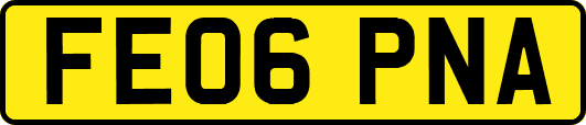 FE06PNA
